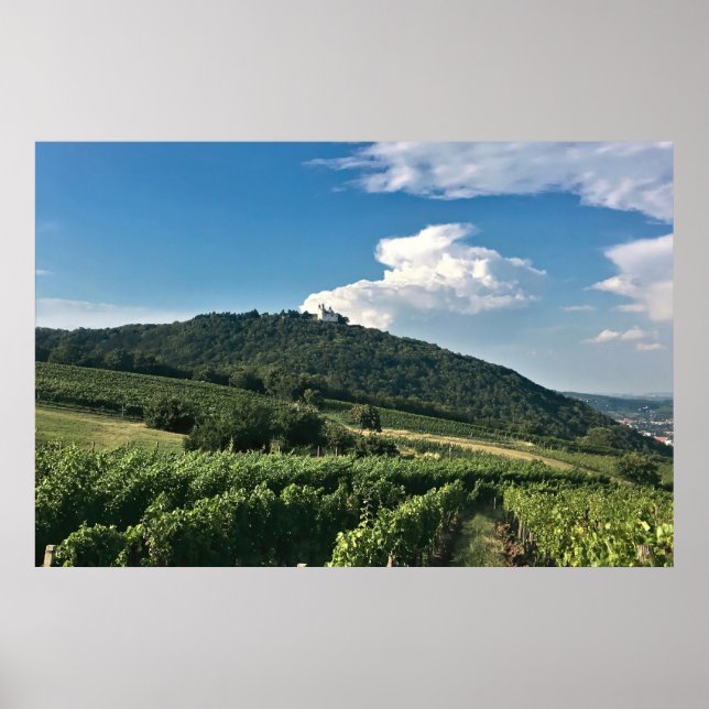 Póster Monasterio y Viñedo (Frente)