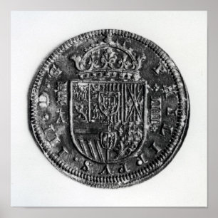 Póster Moneda de plata