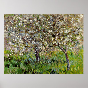 Póster Monet - Árboles de manzana en flor