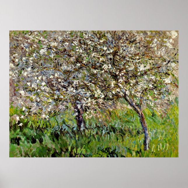 Póster Monet - Árboles de manzana en flor (Frente)