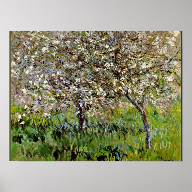 Póster Monet - Árboles de manzana en flor (Frente)