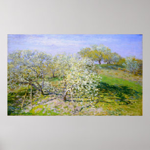 Póster Monet - Árboles de manzana en flor 1873
