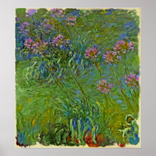 Póster Monet - Flores de Agapanto 1917