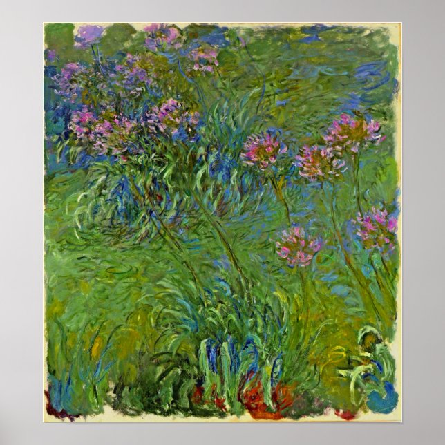 Póster Monet - Flores de Agapanto 1917 (Frente)