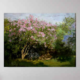 Póster Monet - Lilacs al sol