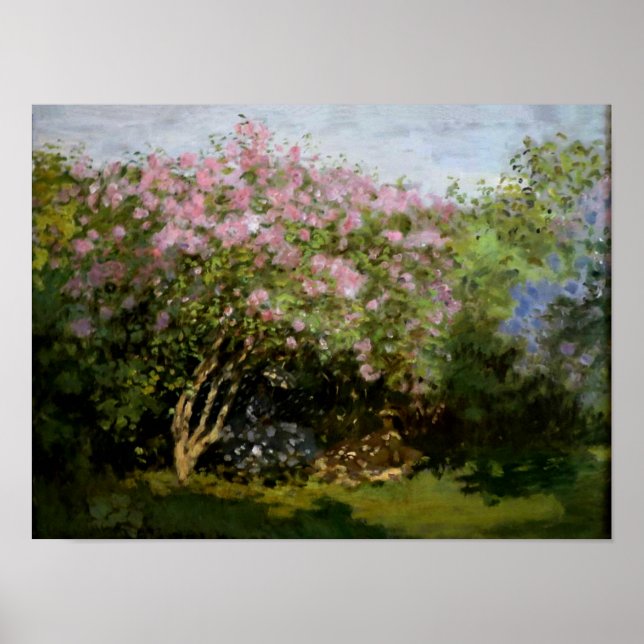 Póster Monet - Lilacs al sol (Frente)