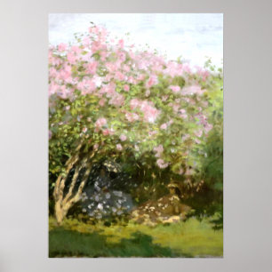 Póster Monet - Lilacs al sol