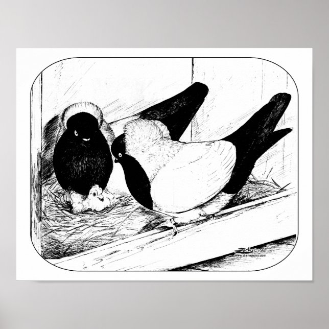 Póster Monjas 1980 (Frente)