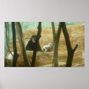 Póster Monkeando alrededor