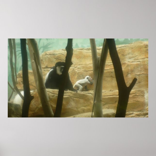 Póster Monkeando alrededor (Frente)