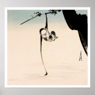 Póster Monkey and the Moon Reflection