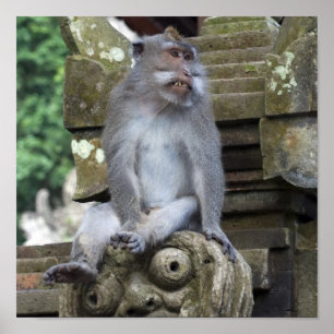 Póster Monkey sitting at a statue in Bali