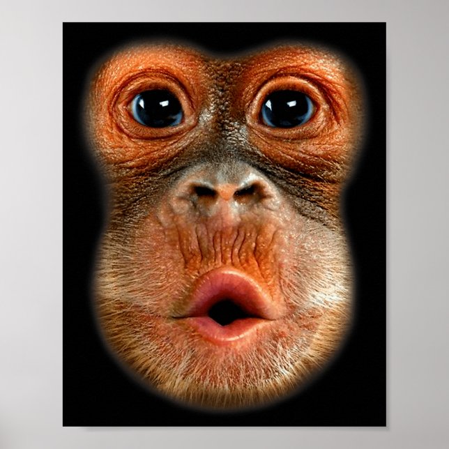 Póster Monkey Stomach Funny Meme Cool Viral Video  (Frente)