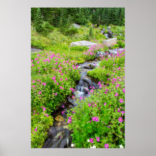 Póster Monkeyflower Alrededor del arroyo del almuerzo