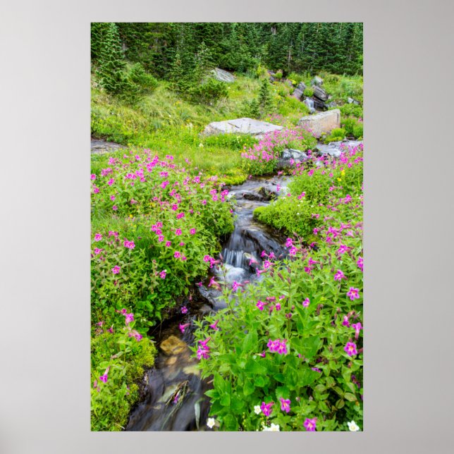 Póster Monkeyflowers Along Lunch Creek (Frente)