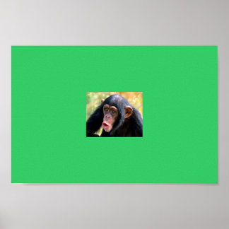 Póster mono