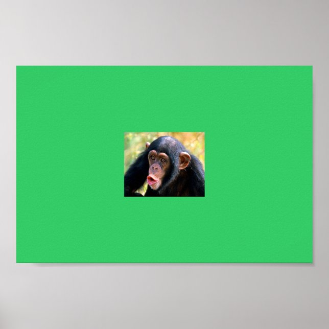 Póster mono (Frente)