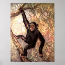 Mono chimpancé por CE Swan, Animales Salvajes Vint
