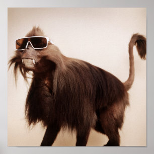 Póster mono de la sol