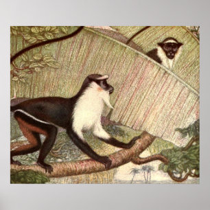 Póster Mono Diana por Louis Sargent, Animal Salvaje Vinta