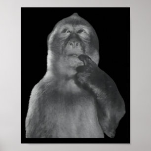 Póster Mono Divertido Pensando Meme Mono Curioso Rotura d
