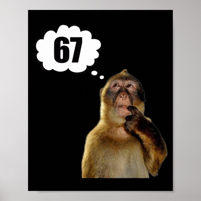 Póster Mono Divertido Pensando Meme Seis Siete 6 7 Meme  (Frente)