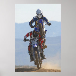 Póster Mono En La Espalda