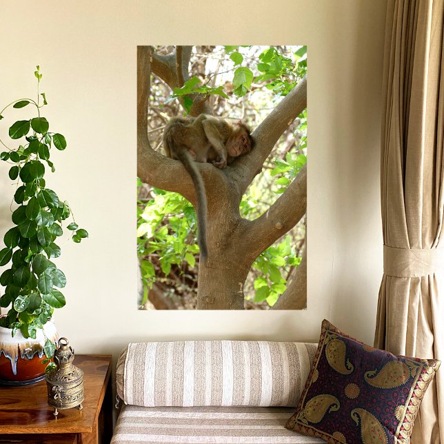 Póster Mono - Estoy demasiado cansado (Subido por el creador)