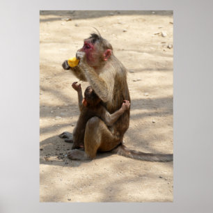 Póster Mono - Quiero algo también