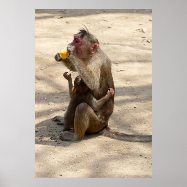 Póster Mono - Quiero algo también (Frente)