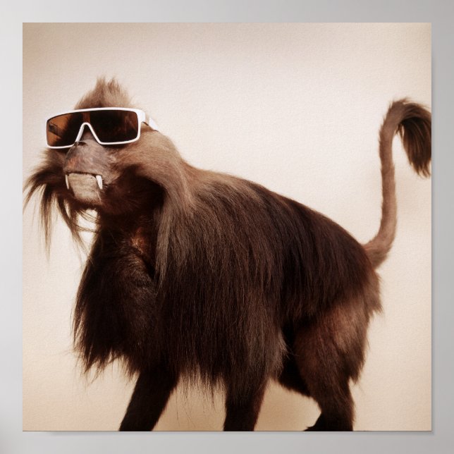 Póster mono soleado (Frente)