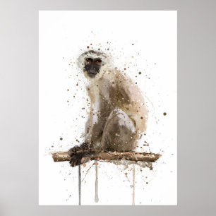 Póster Mono vervet