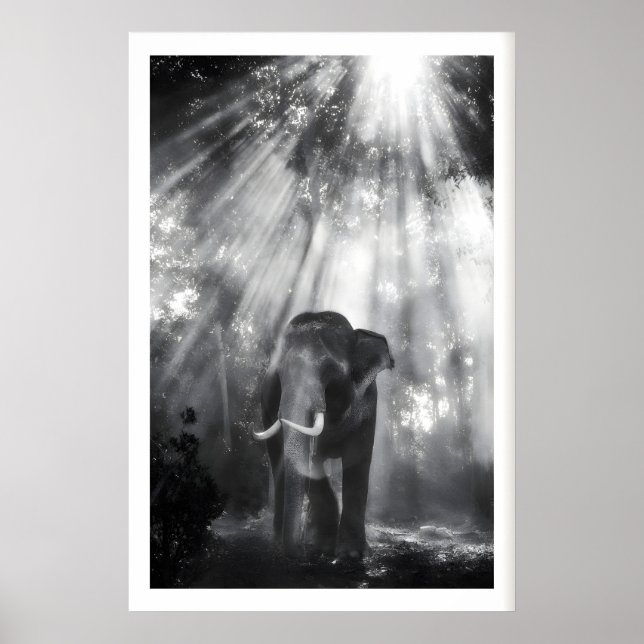 Póster Monochrome Elephant Wall Art, Nature Photo (Living (Frente)