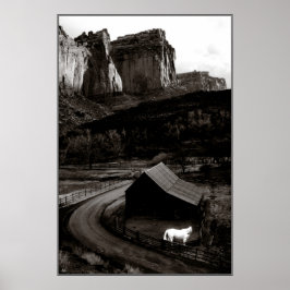 Póster Monocromo de caballo blanco en Poster de los Cañon