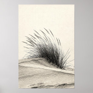 Póster Monocromo de Hierba de Duna de Carbón