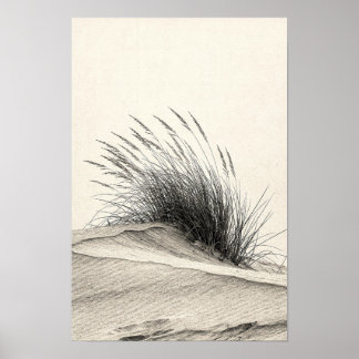Póster Monocromo de Hierba de Duna de Carbón