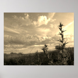 Póster Monocromo del cielo de Madrid