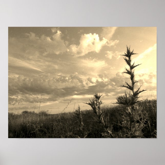 Póster Monocromo del cielo de Madrid (Frente)