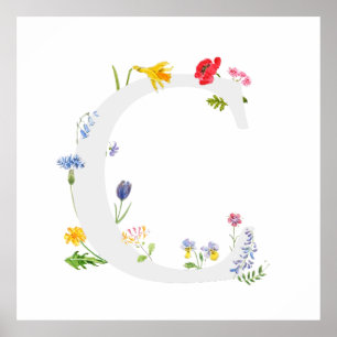 Póster Monograma botánico c flores silvestres