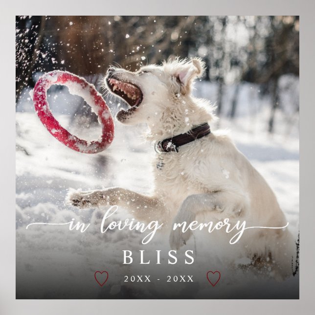 Póster Monograma de fotografía Mascota en la caligrafía d (Frente)