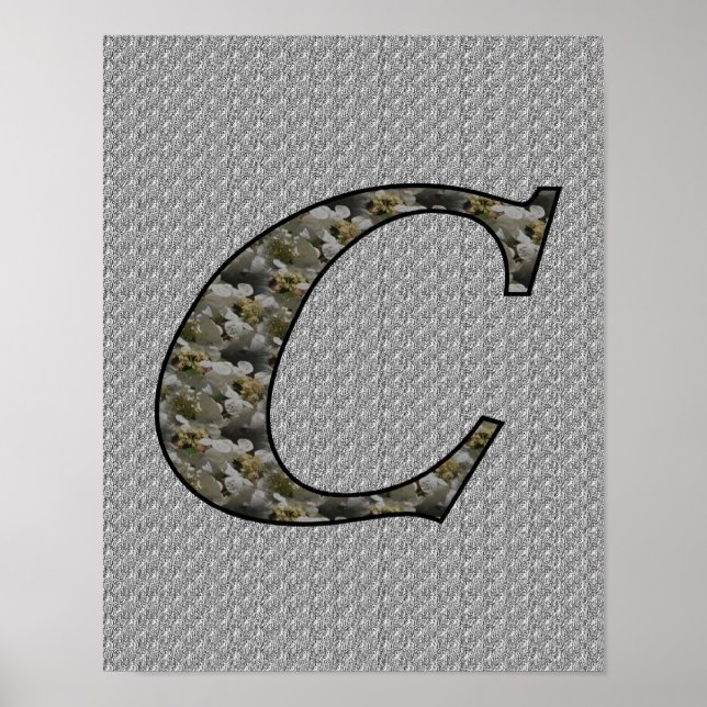 Póster Monogramo Primer C Hidrangea Poster Floral (Frente)