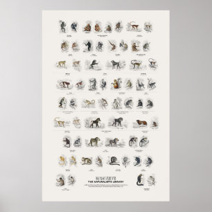 Póster Monos - Biblioteca del Naturalista