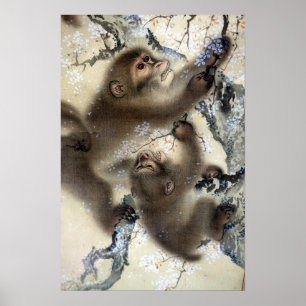 Póster Monos de Mori Sosen en un cerezo floreciente