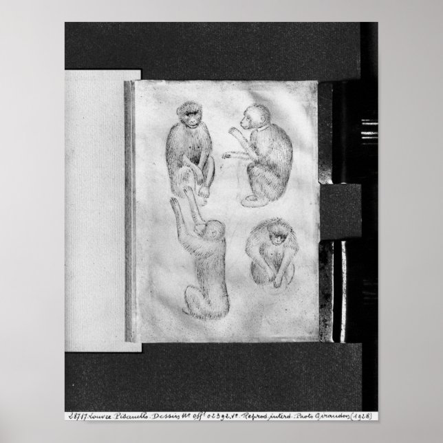 Póster Monos, del álbum Vallardi (Frente)