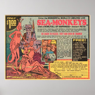 Póster Monos marinos sólo 1