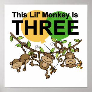 Póster Monos que cambian camisetas y regalos de tercer cu