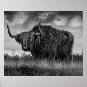 Póster Monotone Rustic Brown de Highland Cow Scotland