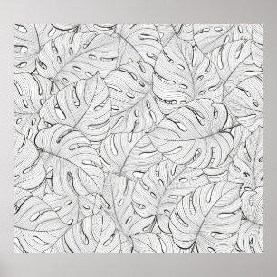 Póster Monstera deja el patrón blanco negro