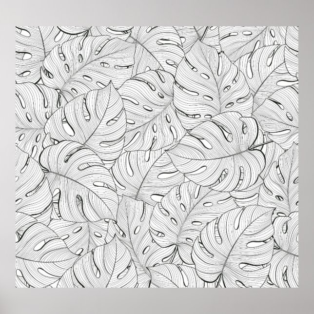 Póster Monstera deja el patrón blanco negro (Frente)