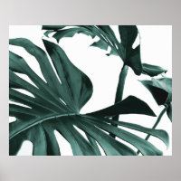 Monstera deja Poster